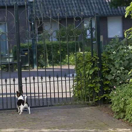 Bed & Breakfast Dorpstraat44 *