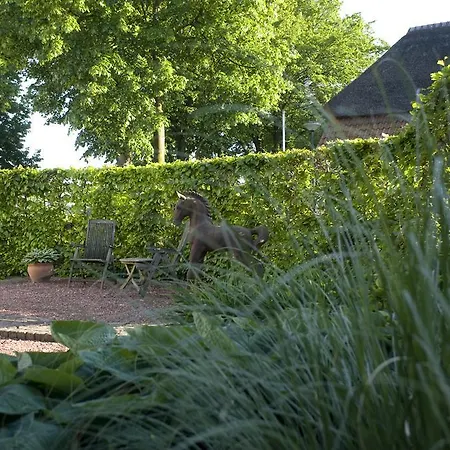 Bed & Breakfast Dorpstraat44 *